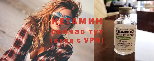 крисы Корсаков