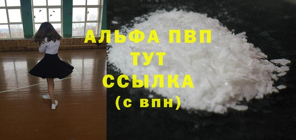 крисы Корсаков