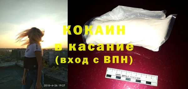 крисы Корсаков
