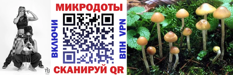 где можно купить наркотик  Болгар  Псилоцибиновые грибы MAGIC MUSHROOMS 