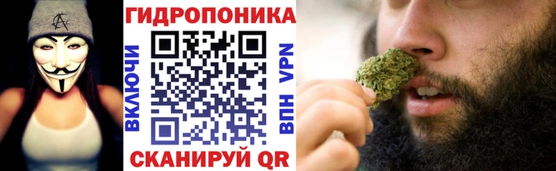 Шишки марихуана конопля  Болгар 